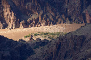 USA Grand Canyon<br>NIKON D4, 500 mm, 900 ISO,  1/1000 sec,  f : 8 